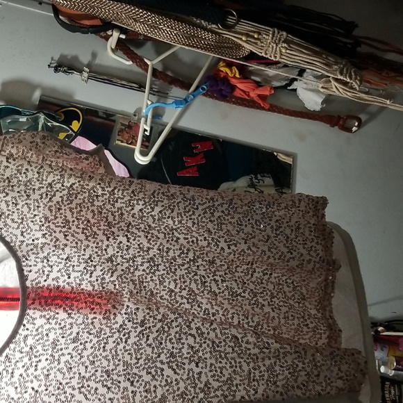 Charlotte Russell shirt small. Lite pinkish  Gold sequence - Picture 2 of 4